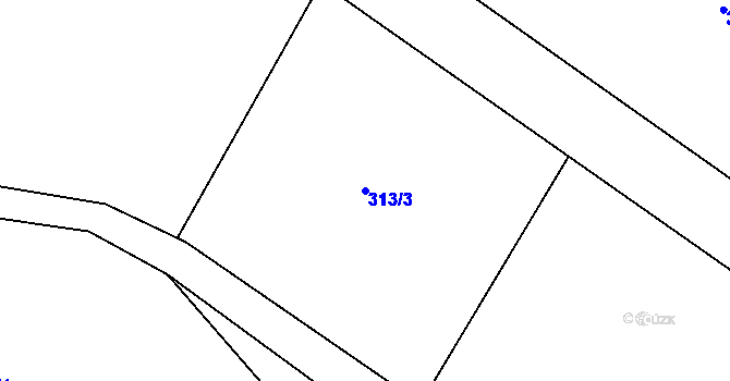Parcela st. 313/3 v KÚ Dolní Rokytnice v Orlických horách, Katastrální mapa