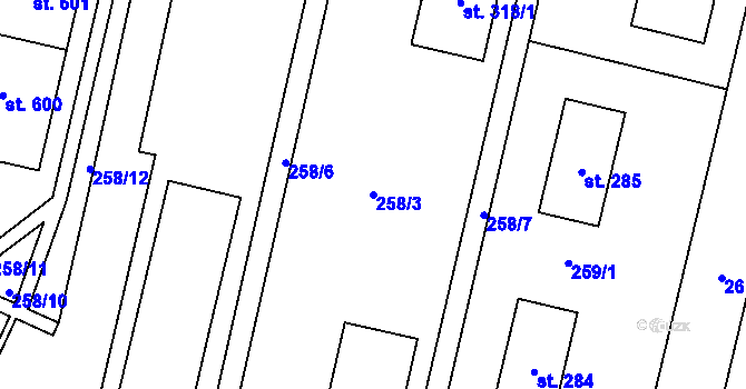 Parcela st. 258/3 v KÚ Rokytnice v Orlických horách, Katastrální mapa