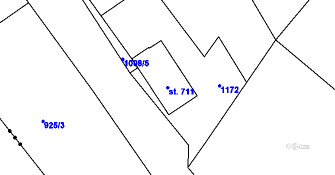 Parcela st. 711 v KÚ Rokytnice v Orlických horách, Katastrální mapa