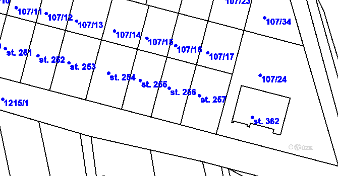 Parcela st. 256 v KÚ Rokytno, Katastrální mapa