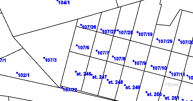Parcela st. 107/7 v KÚ Rokytno, Katastrální mapa