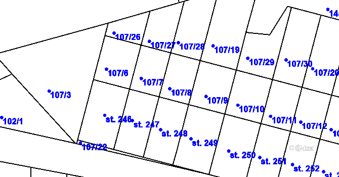 Parcela st. 107/8 v KÚ Rokytno, Katastrální mapa