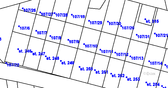 Parcela st. 107/10 v KÚ Rokytno, Katastrální mapa