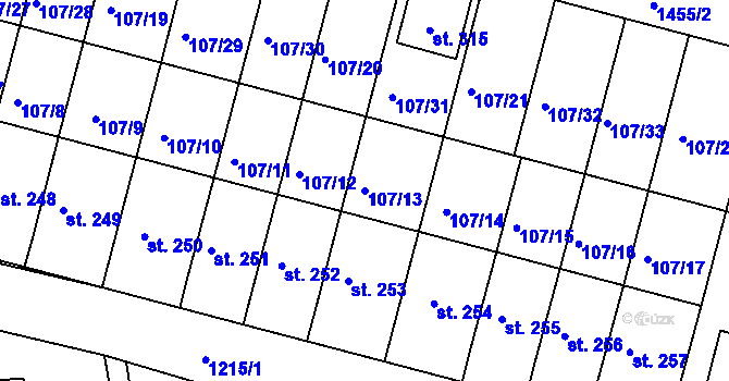 Parcela st. 107/13 v KÚ Rokytno, Katastrální mapa