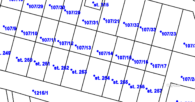 Parcela st. 107/14 v KÚ Rokytno, Katastrální mapa
