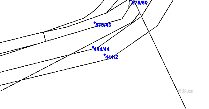 Parcela st. 441/2 v KÚ Rokytno, Katastrální mapa