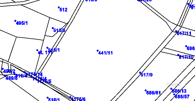 Parcela st. 441/11 v KÚ Rokytno, Katastrální mapa