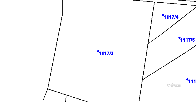 Parcela st. 1117/3 v KÚ Rokytno, Katastrální mapa