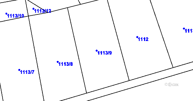 Parcela st. 1113/9 v KÚ Rokytno, Katastrální mapa
