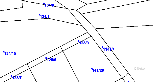 Parcela st. 125/9 v KÚ Rokytno, Katastrální mapa