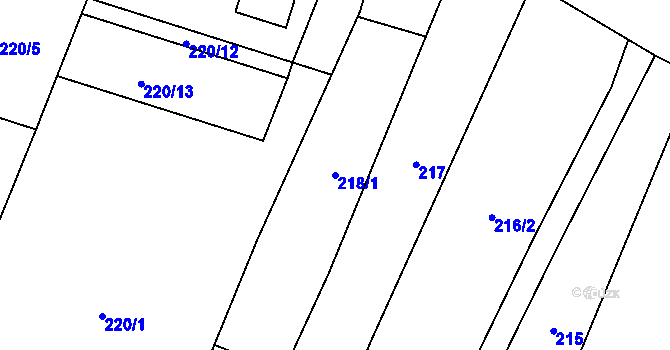 Parcela st. 218/1 v KÚ Ronov nad Doubravou, Katastrální mapa
