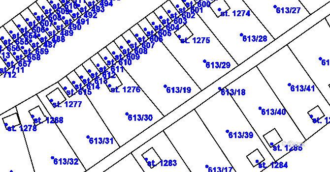 Parcela st. 613/19 v KÚ Rosice nad Labem, Katastrální mapa