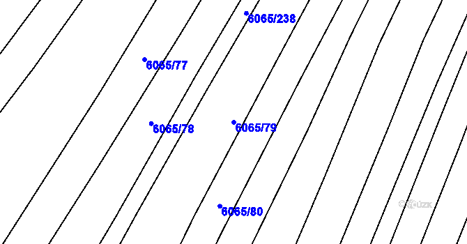 Parcela st. 6065/79 v KÚ Rosice u Brna, Katastrální mapa