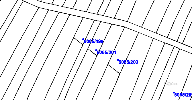 Parcela st. 6065/201 v KÚ Rosice u Brna, Katastrální mapa
