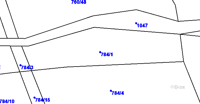 Parcela st. 784/1 v KÚ Rosička u Deštné, Katastrální mapa