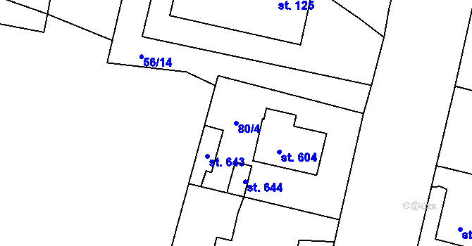 Parcela st. 80/4 v KÚ Roudná nad Lužnicí, Katastrální mapa