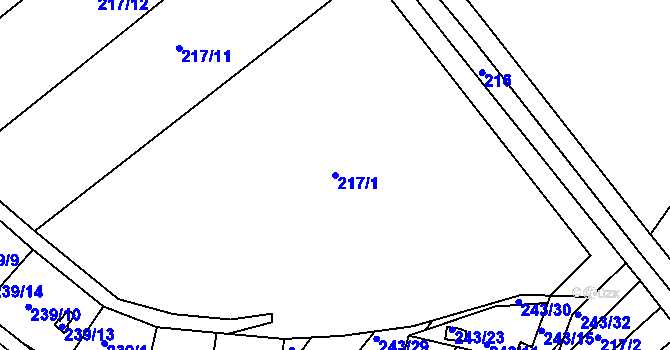 Parcela st. 217/1 v KÚ Roudné, Katastrální mapa