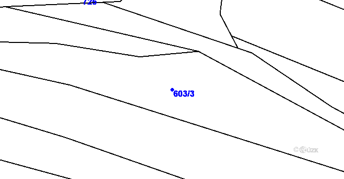 Parcela st. 603/3 v KÚ Vrbka u Roudníčku, Katastrální mapa