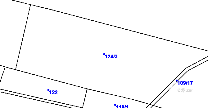 Parcela st. 124/3 v KÚ Roudnička, Katastrální mapa