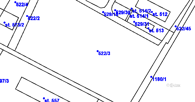 Parcela st. 522/3 v KÚ Rouchovany, Katastrální mapa