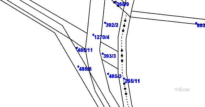 Parcela st. 393/3 v KÚ Rouchovany, Katastrální mapa