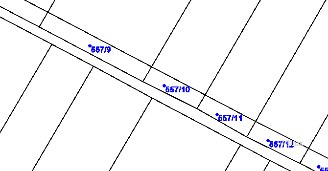 Parcela st. 557/10 v KÚ Rouchovany, Katastrální mapa