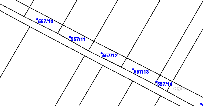 Parcela st. 557/12 v KÚ Rouchovany, Katastrální mapa