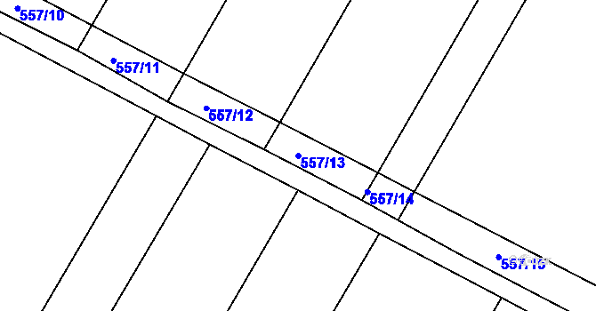 Parcela st. 557/13 v KÚ Rouchovany, Katastrální mapa