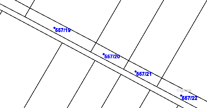 Parcela st. 557/20 v KÚ Rouchovany, Katastrální mapa