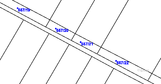 Parcela st. 557/21 v KÚ Rouchovany, Katastrální mapa