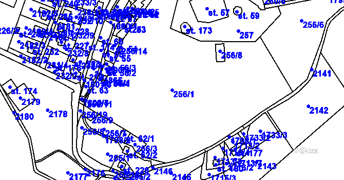 Parcela st. 256/1 v KÚ Roupov, Katastrální mapa