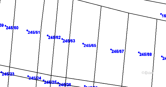 Parcela st. 245/65 v KÚ Rousínov u Rakovníka, Katastrální mapa
