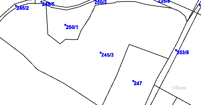 Parcela st. 245/3 v KÚ Divišov, Katastrální mapa
