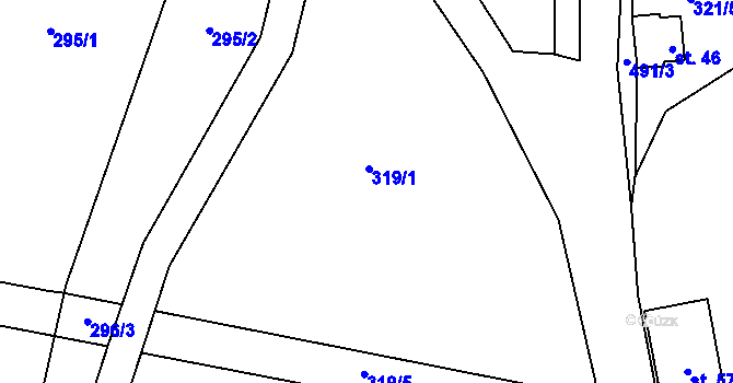 Parcela st. 319/1 v KÚ Divišov, Katastrální mapa
