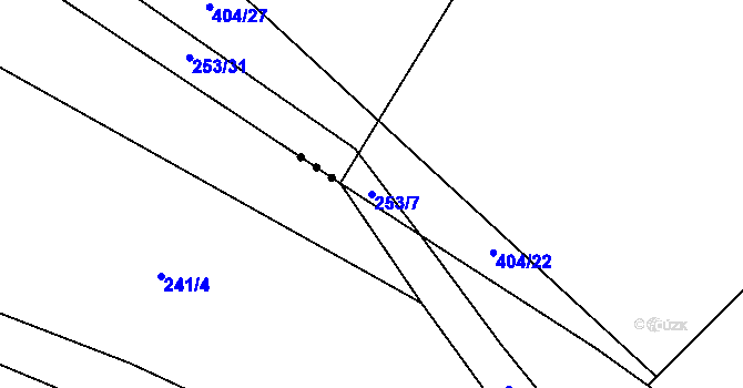Parcela st. 253/7 v KÚ Divišov, Katastrální mapa