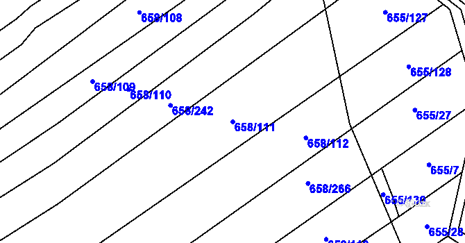 Parcela st. 658/111 v KÚ Rozdrojovice, Katastrální mapa