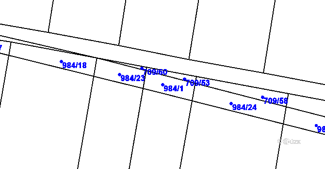 Parcela st. 984/1 v KÚ Rozkoš u Jevišovic, Katastrální mapa