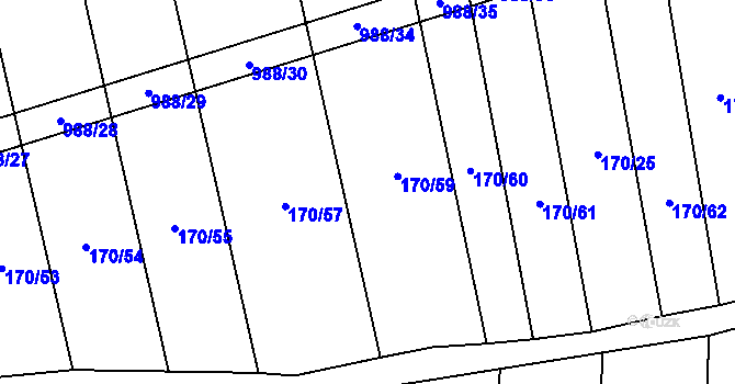 Parcela st. 170/58 v KÚ Rozkoš u Jevišovic, Katastrální mapa