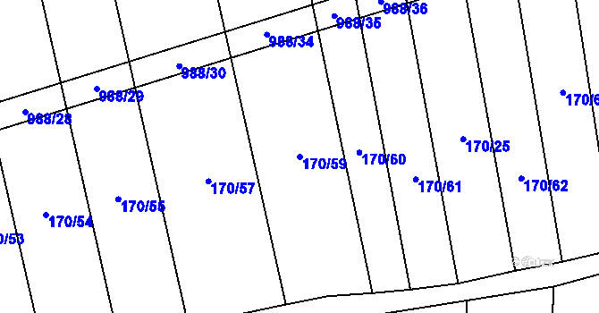 Parcela st. 170/59 v KÚ Rozkoš u Jevišovic, Katastrální mapa