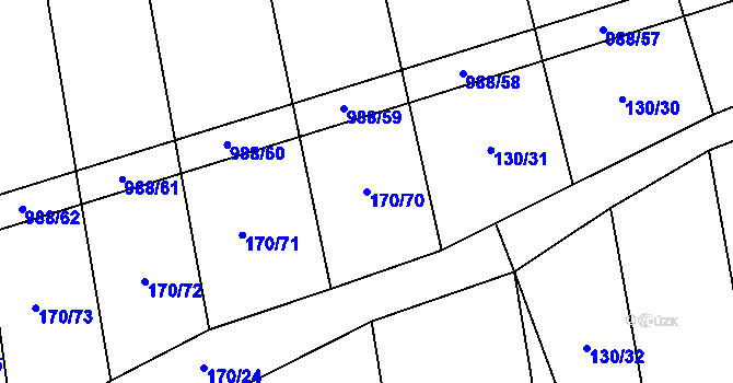 Parcela st. 170/70 v KÚ Rozkoš u Jevišovic, Katastrální mapa