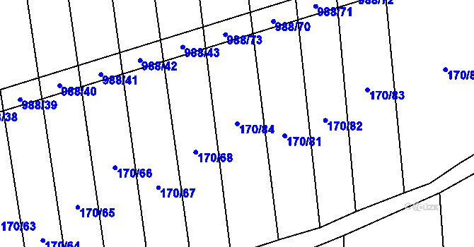Parcela st. 170/84 v KÚ Rozkoš u Jevišovic, Katastrální mapa
