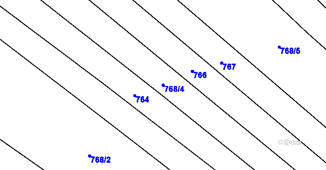 Parcela st. 768/4 v KÚ Rozkoš u Jevišovic, Katastrální mapa