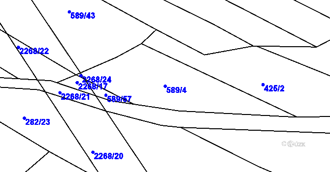 Parcela st. 589/4 v KÚ Rozseč u Třešti, Katastrální mapa