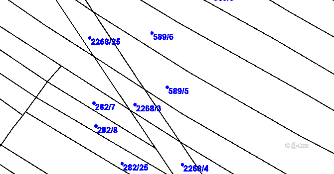 Parcela st. 589/5 v KÚ Rozseč u Třešti, Katastrální mapa