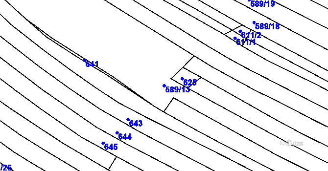 Parcela st. 589/13 v KÚ Rozseč u Třešti, Katastrální mapa