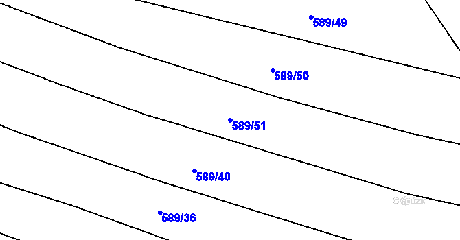 Parcela st. 589/51 v KÚ Rozseč u Třešti, Katastrální mapa