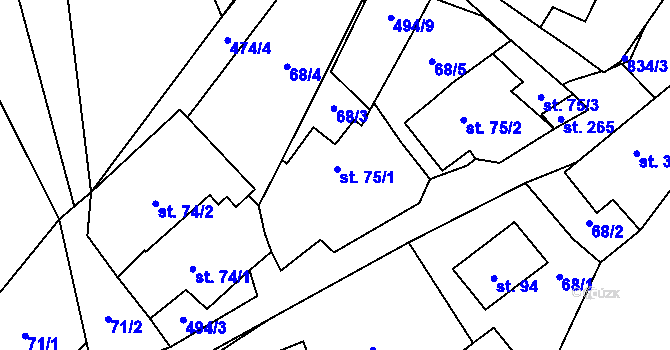 Parcela st. 75/1 v KÚ Rozsochy, Katastrální mapa