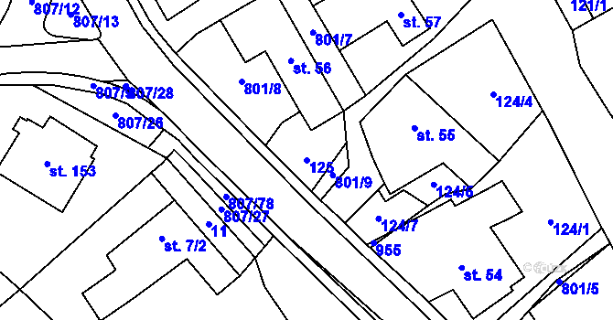 Parcela st. 125 v KÚ Rozsochy, Katastrální mapa