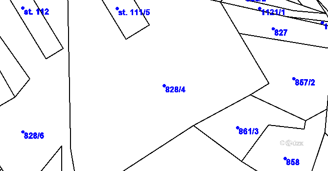Parcela st. 828/4 v KÚ Janův Důl, Katastrální mapa