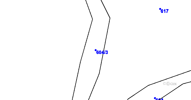 Parcela st. 604/3 v KÚ Ruda u Rýmařova, Katastrální mapa